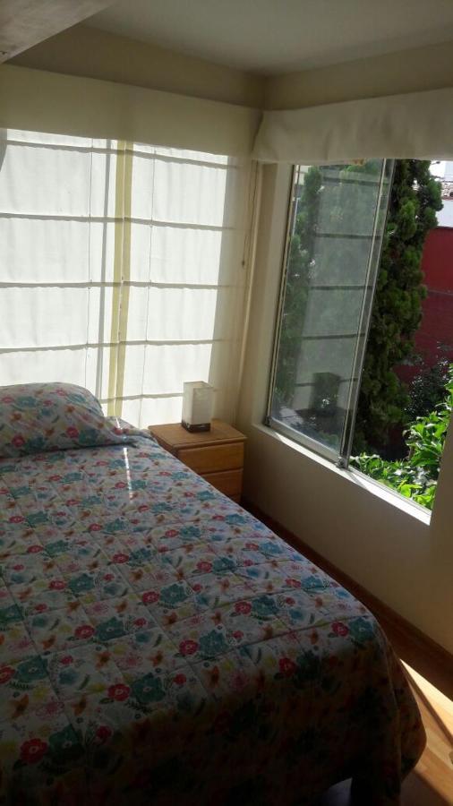 Garden House Miraflores Lima Luaran gambar